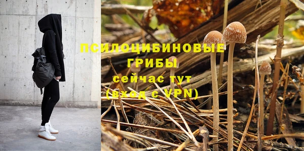 ешки Ельня