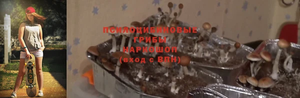 прущая мука Елизово