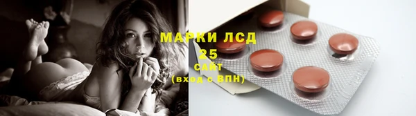 ешки Ельня