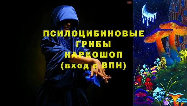 ешки Ельня