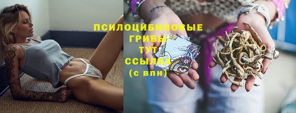 прущая мука Елизово